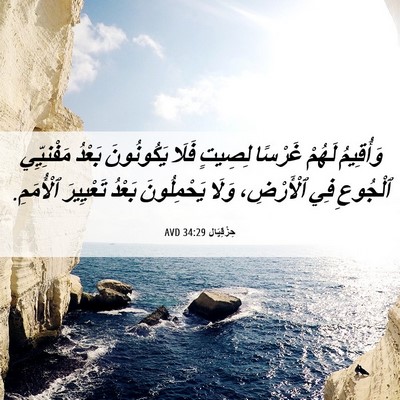 Picture 06 - حِزْقِيَال 34:29 AVD - وَأُقِيمُ لَهُمْ غَرْسًا - Bible Verse Picture