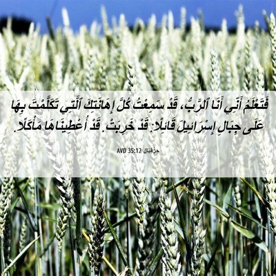 Picture 06 - حِزْقِيَال 35:12 AVD - فَتَعْلَمُ أَنِّي أَنَا - Bible Verse Picture