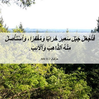 Picture 06 - حِزْقِيَال 35:7 AVD - فَأَجْعَلُ جَبَلَ سَعِيرَ - Bible Verse Picture