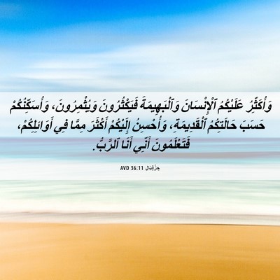 Picture 06 - حِزْقِيَال 36:11 AVD - وَأُكَثِّرُ عَلَيْكُمُ - Bible Verse Picture