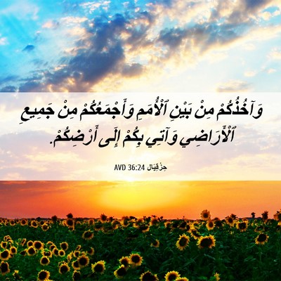 Picture 06 - حِزْقِيَال 36:24 AVD - وَآخُذُكُمْ مِنْ بَيْنِ - Bible Verse Picture