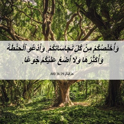 Picture 06 - حِزْقِيَال 36:29 AVD - وَأُخَلِّصُكُمْ مِنْ - Bible Verse Picture