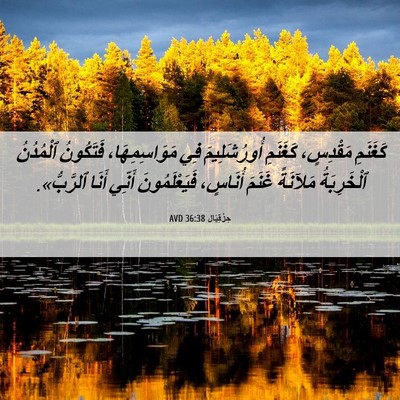 Picture 06 - حِزْقِيَال 36:38 AVD - كَغَنَمِ مَقْدِسٍ، - Bible Verse Picture