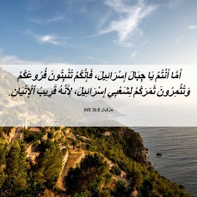 Picture 06 - حِزْقِيَال 36:8 AVD - أَمَّا أَنْتُمْ يَا - Bible Verse Picture