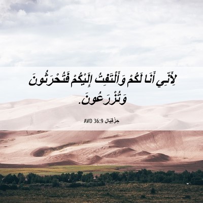 Picture 06 - حِزْقِيَال 36:9 AVD - لِأَنِّي أَنَا لَكُمْ - Bible Verse Picture