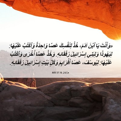 Picture 06 - حِزْقِيَال 37:16 AVD - «وَأَنْتَ يَا ٱبْنَ آدَمَ، - Bible Verse Picture