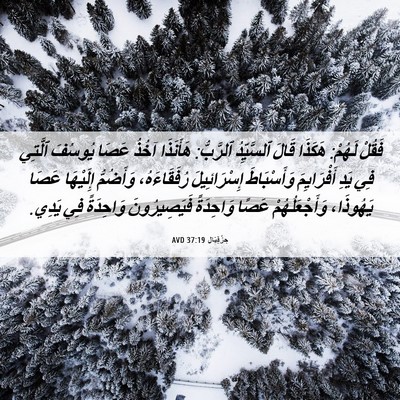 Picture 06 - حِزْقِيَال 37:19 AVD - فَقُلْ لَهُمْ: هَكَذَا - Bible Verse Picture