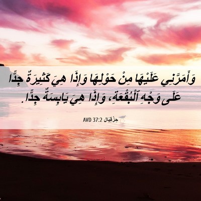 Picture 06 - حِزْقِيَال 37:2 AVD - وَأَمَرَّنِي عَلَيْهَا - Bible Verse Picture