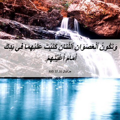 Picture 06 - حِزْقِيَال 37:20 AVD - وَتَكُونُ ٱلْعَصَوَانِ - Bible Verse Picture