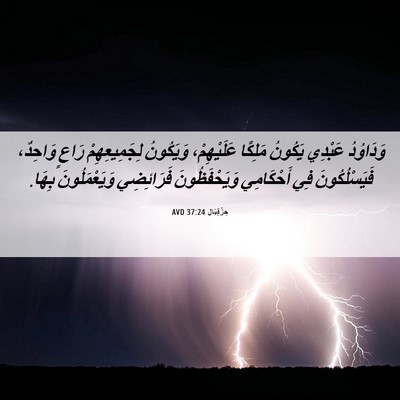 Picture 06 - حِزْقِيَال 37:24 AVD - وَدَاوُدُ عَبْدِي يَكُونُ - Bible Verse Picture