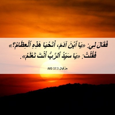Picture 06 - حِزْقِيَال 37:3 AVD - فَقَالَ لِي: «يَا ٱبْنَ - Bible Verse Picture