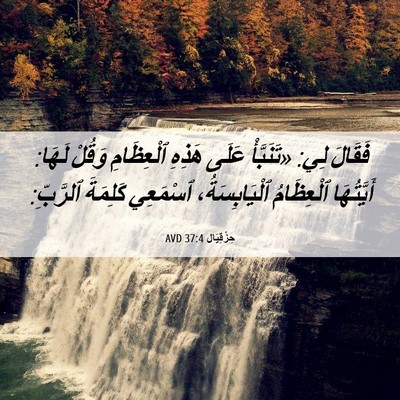 Picture 06 - حِزْقِيَال 37:4 AVD - فَقَالَ لِي: «تَنَبَّأْ - Bible Verse Picture
