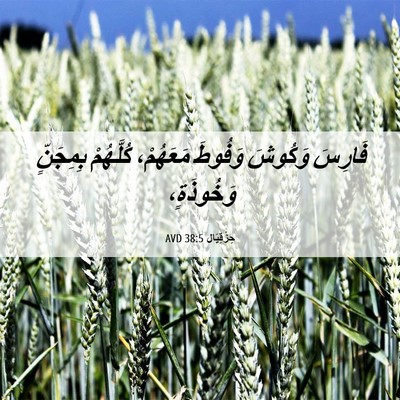 Picture 06 - حِزْقِيَال 38:5 AVD - فَارِسَ وَكُوشَ وَفُوطَ - Bible Verse Picture