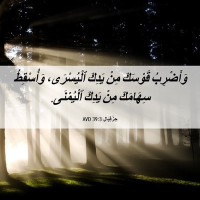 Picture 06 - حِزْقِيَال 39:3 AVD - وَأَضْرِبُ قَوْسَكَ مِنْ - Bible Verse Picture