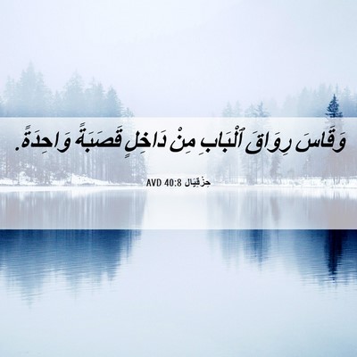 Picture 06 - حِزْقِيَال 40:8 AVD - وَقَاسَ رِوَاقَ ٱلْبَابِ - Bible Verse Picture