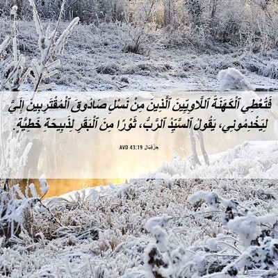 Picture 06 - حِزْقِيَال 43:19 AVD - فَتُعْطِي ٱلْكَهَنَةَ - Bible Verse Picture
