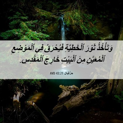 Picture 06 - حِزْقِيَال 43:21 AVD - وَتَأْخُذُ ثَوْرَ - Bible Verse Picture