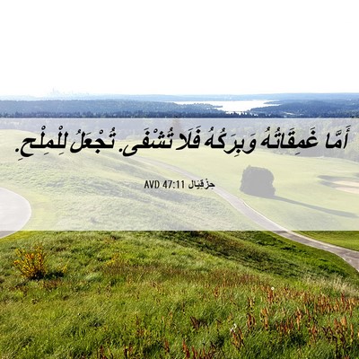 Picture 06 - حِزْقِيَال 47:11 AVD - أَمَّا غَمِقَاتُهُ - Bible Verse Picture