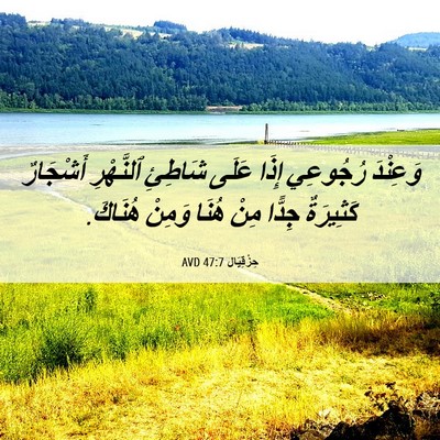 Picture 06 - حِزْقِيَال 47:7 AVD - وَعِنْدَ رُجُوعِي إِذَا - Bible Verse Picture