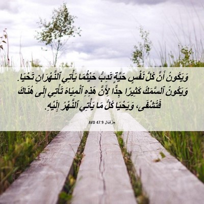 Picture 06 - حِزْقِيَال 47:9 AVD - وَيَكُونُ أَنَّ كُلَّ - Bible Verse Picture