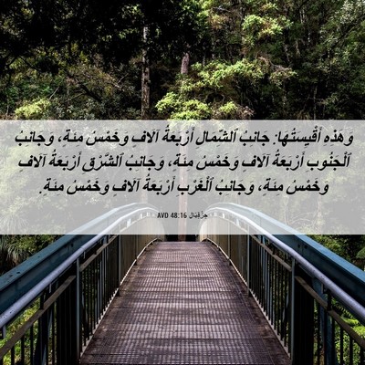 Picture 06 - حِزْقِيَال 48:16 AVD - وَهَذِهِ أَقْيِسَتُهَا: - Bible Verse Picture