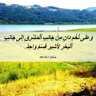 Picture 06 - حِزْقِيَال 48:2 AVD - وَعَلَى تُخْمِ دَانٍ مِنْ - Bible Verse Picture