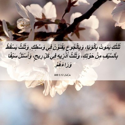 Picture 06 - حِزْقِيَال 5:12 AVD - ثُلُثُكِ يَمُوتُ - Bible Verse Picture