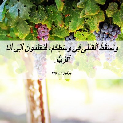 Picture 06 - حِزْقِيَال 6:7 AVD - وَتَسْقُطُ ٱلْقَتْلَى فِي - Bible Verse Picture