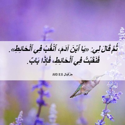 Picture 06 - حِزْقِيَال 8:8 AVD - ثُمَّ قَالَ لِي: «يَا ٱبْنَ - Bible Verse Picture