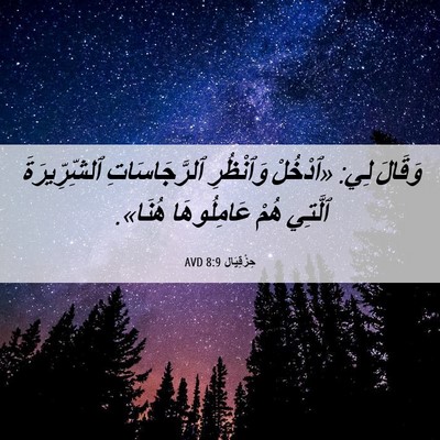 Picture 06 - حِزْقِيَال 8:9 AVD - وَقَالَ لِي: «ٱدْخُلْ - Bible Verse Picture