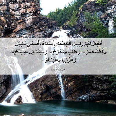 Picture 06 - دَانِيآل 1:7 AVD - فَجَعَلَ لَهُمْ رَئِيسُ - Bible Verse Picture