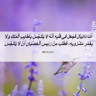 Picture 06 - دَانِيآل 1:8 AVD - أَمَّا دَانِيآلُ فَجَعَلَ - Bible Verse Picture