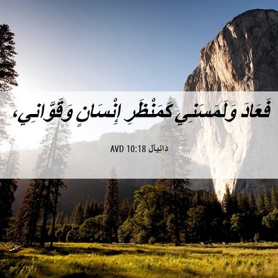 Picture 06 - دَانِيآل 10:18 AVD - فَعَادَ وَلَمَسَنِي - Bible Verse Picture