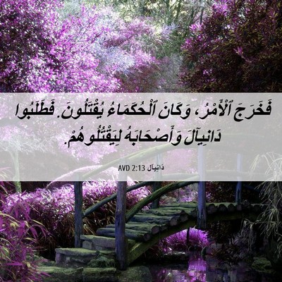 Picture 06 - دَانِيآل 2:13 AVD - فَخَرَجَ ٱلْأَمْرُ، - Bible Verse Picture