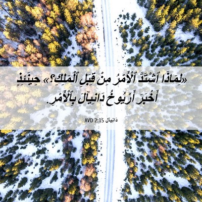 Picture 06 - دَانِيآل 2:15 AVD - «لِمَاذَا ٱشْتَدَّ - Bible Verse Picture
