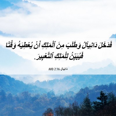 Picture 06 - دَانِيآل 2:16 AVD - فَدَخَلَ دَانِيآلُ - Bible Verse Picture