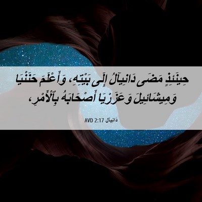 Picture 06 - دَانِيآل 2:17 AVD - حِينَئِذٍ مَضَى دَانِيآلُ - Bible Verse Picture