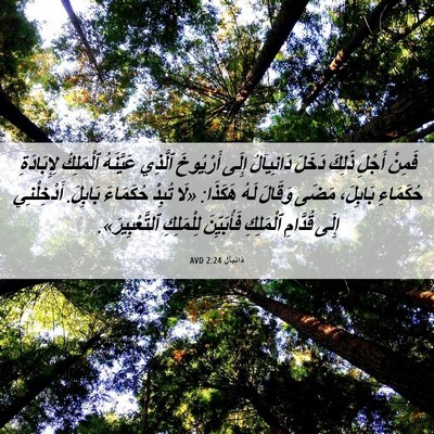 Picture 06 - دَانِيآل 2:24 AVD - فَمِنْ أَجْلِ ذَلِكَ - Bible Verse Picture