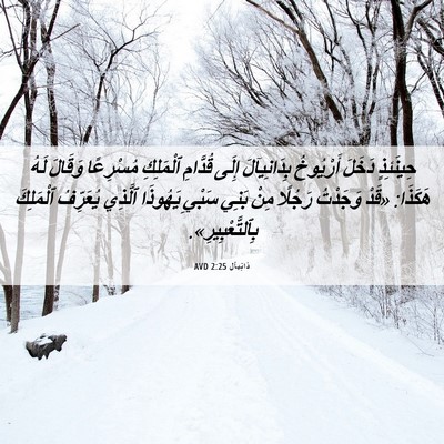 Picture 06 - دَانِيآل 2:25 AVD - حِينَئِذٍ دَخَلَ - Bible Verse Picture