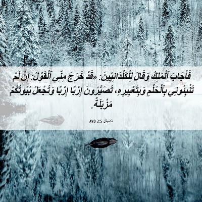 Picture 06 - دَانِيآل 2:5 AVD - فَأَجَابَ ٱلْمَلِكُ - Bible Verse Picture