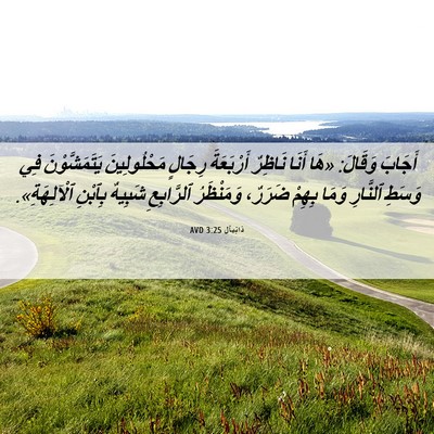 Picture 06 - دَانِيآل 3:25 AVD - أَجَابَ وَقَالَ: «هَا - Bible Verse Picture