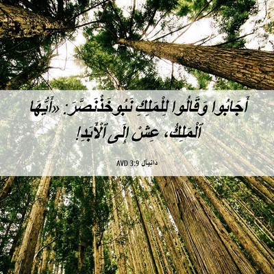 Picture 06 - دَانِيآل 3:9 AVD - أَجَابُوا وَقَالُوا - Bible Verse Picture