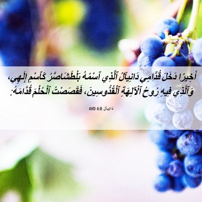 Picture 06 - دَانِيآل 4:8 AVD - أَخِيرًا دَخَلَ قُدَّامِي - Bible Verse Picture