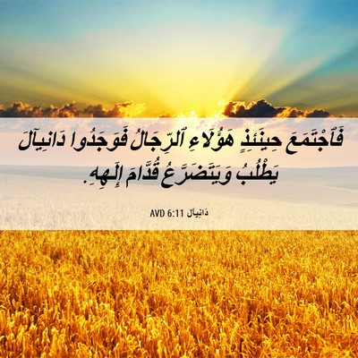 Picture 06 - دَانِيآل 6:11 AVD - فَٱجْتَمَعَ حِينَئِذٍ - Bible Verse Picture