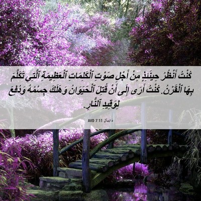 Picture 06 - دَانِيآل 7:11 AVD - كُنْتُ أَنْظُرُ حِينَئِذٍ - Bible Verse Picture