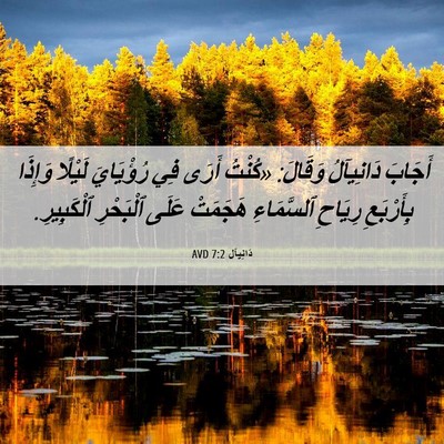 Picture 06 - دَانِيآل 7:2 AVD - أَجَابَ دَانِيآلُ وَقَالَ: - Bible Verse Picture
