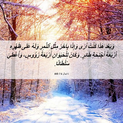 Picture 06 - دَانِيآل 7:6 AVD - وَبَعْدَ هَذَا كُنْتُ - Bible Verse Picture