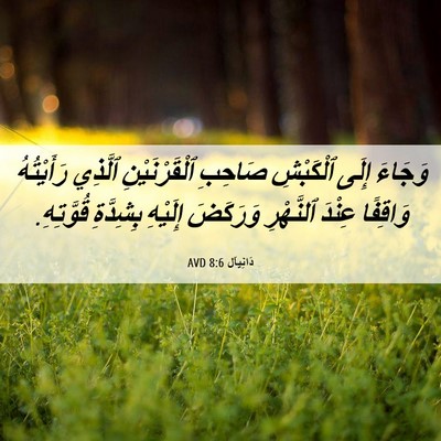 Picture 06 - دَانِيآل 8:6 AVD - وَجَاءَ إِلَى ٱلْكَبْشِ - Bible Verse Picture