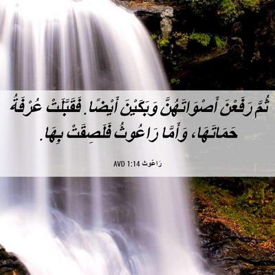 Picture 06 - رَاعُوث 1:14 AVD - ثُمَّ رَفَعْنَ - Bible Verse Picture