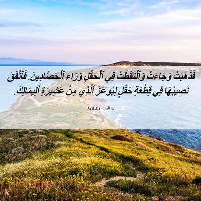 Picture 06 - رَاعُوث 2:3 AVD - فَذَهَبَتْ وَجَاءَتْ - Bible Verse Picture